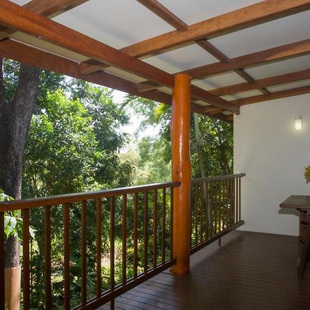 Milkwood Lodge Cooktown Εξωτερικό φωτογραφία
