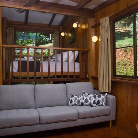 Milkwood Lodge Cooktown Εξωτερικό φωτογραφία