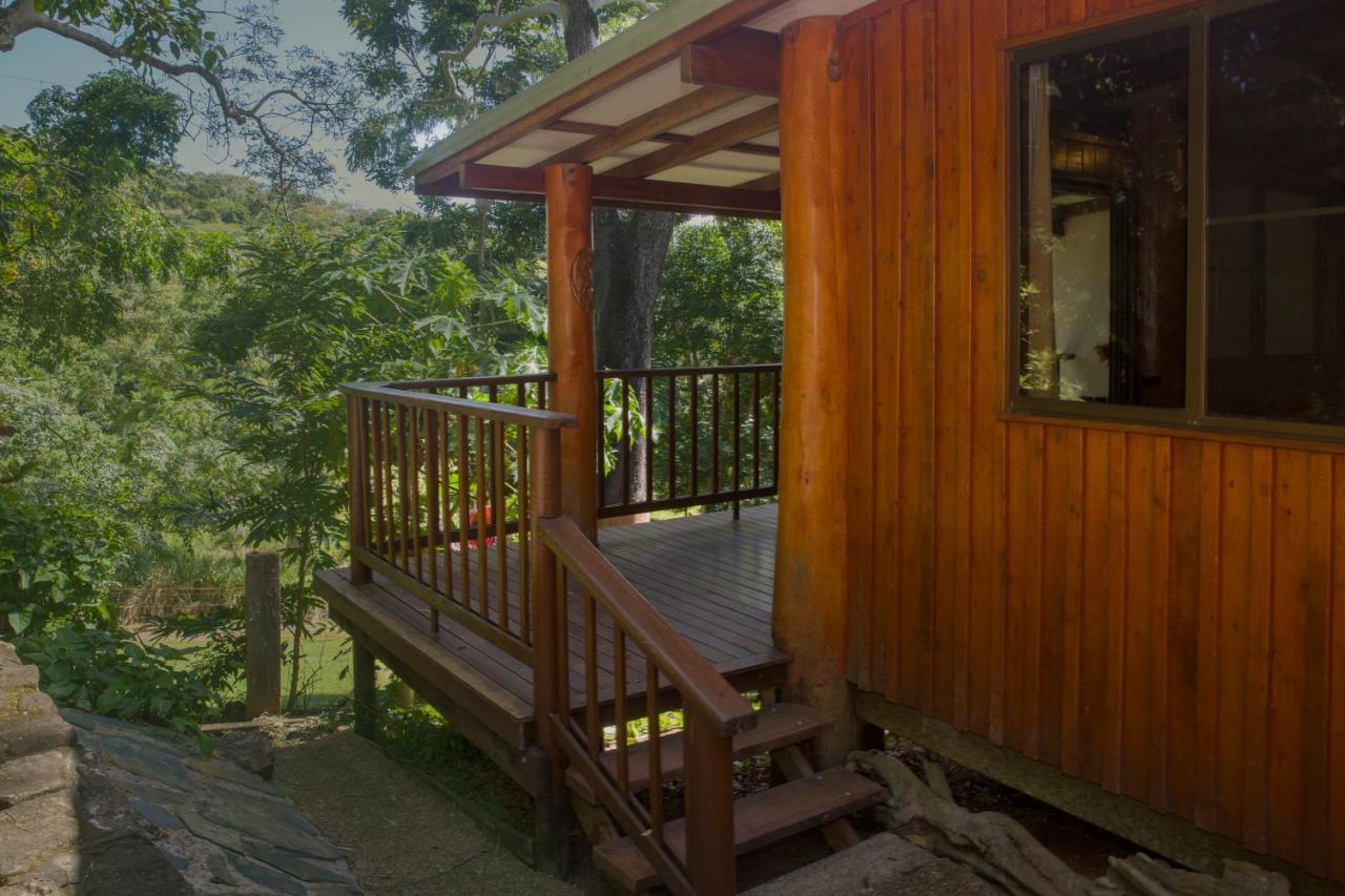 Milkwood Lodge Cooktown Εξωτερικό φωτογραφία