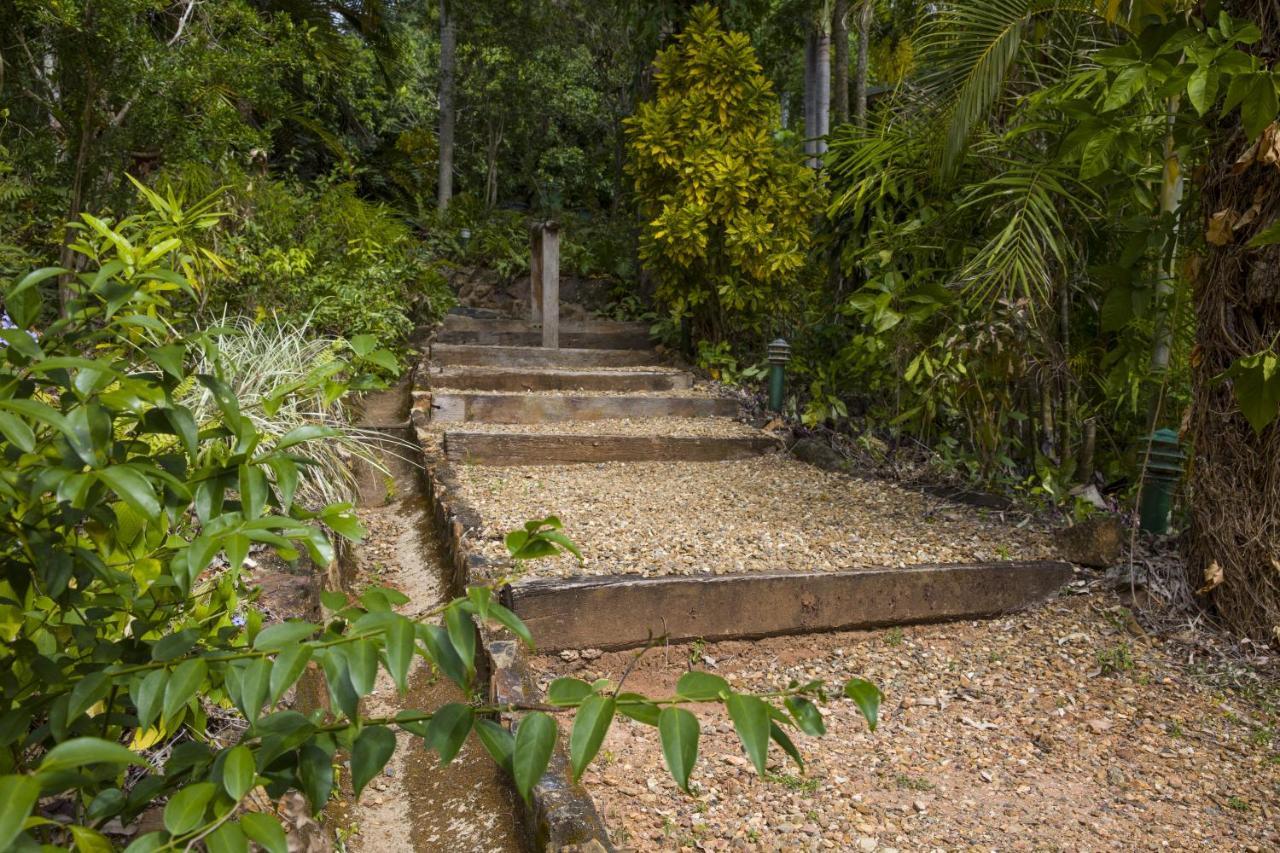 Milkwood Lodge Cooktown Εξωτερικό φωτογραφία
